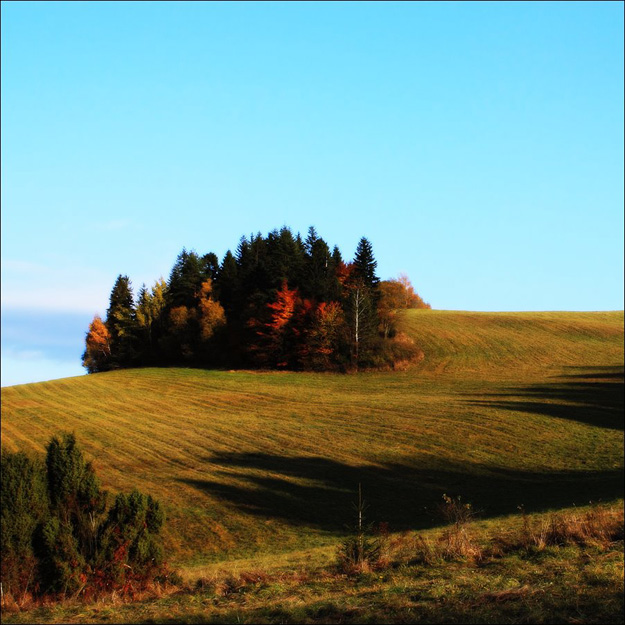 MatysovÃ¡ to Ä½ubovÅˆa. Through MarmanFall2011MiroPolca1